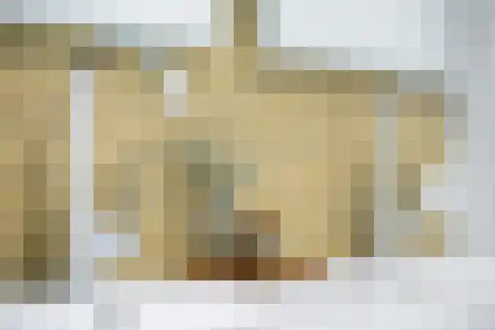 Grote Spie 229 Breda thumbnail 41