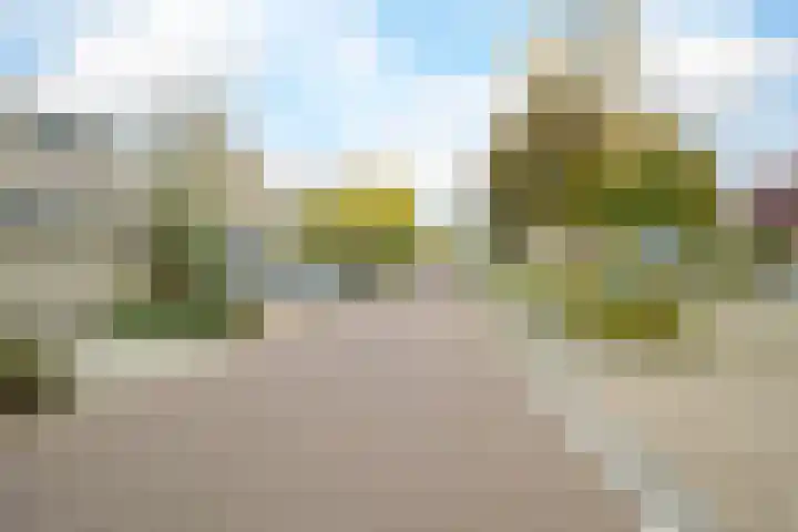 Grote Spie 229 Breda thumbnail 47