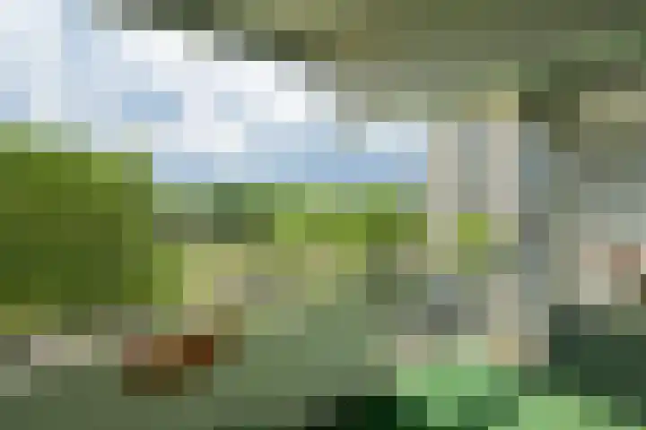 Grote Spie 245 Breda thumbnail 23