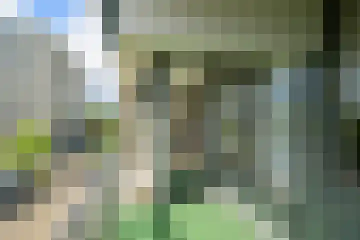 Grote Spie 245 Breda thumbnail 24