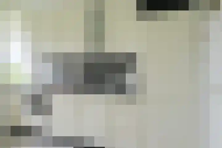 Grote Spie 245 Breda thumbnail 30