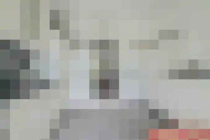 Grote Spie 245 Breda thumbnail 31