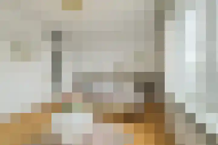 Grote Spie 245 Breda thumbnail 4