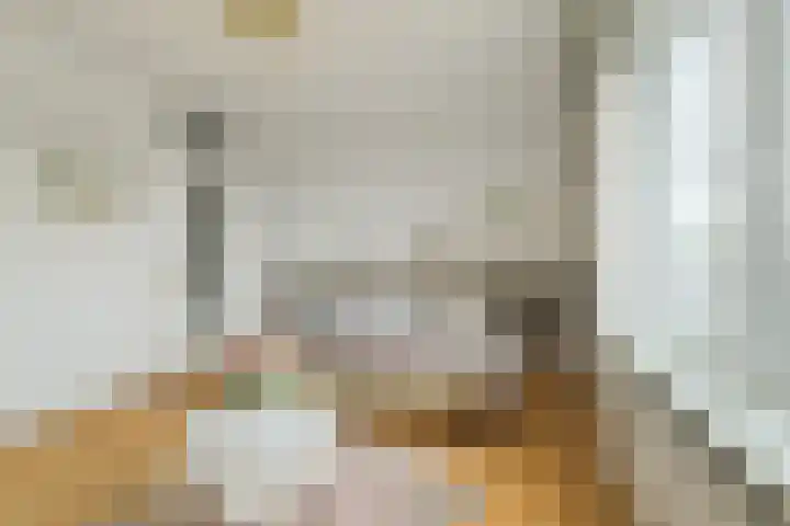 Grote Spie 245 Breda thumbnail 41