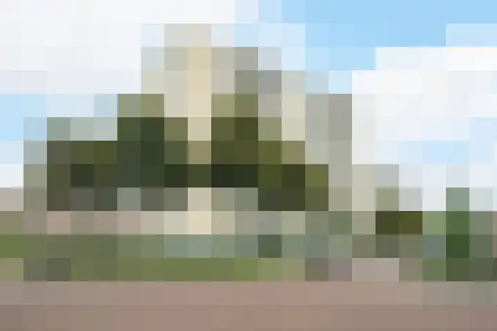 Grote Spie 245 Breda thumbnail 7