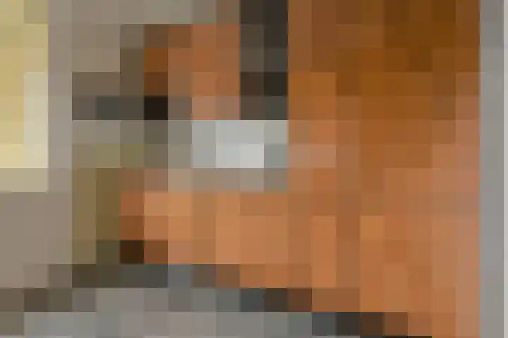 Grote Spie 307 Breda thumbnail 21