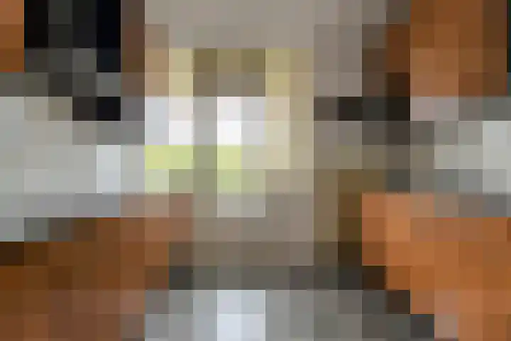 Grote Spie 307 Breda thumbnail 4
