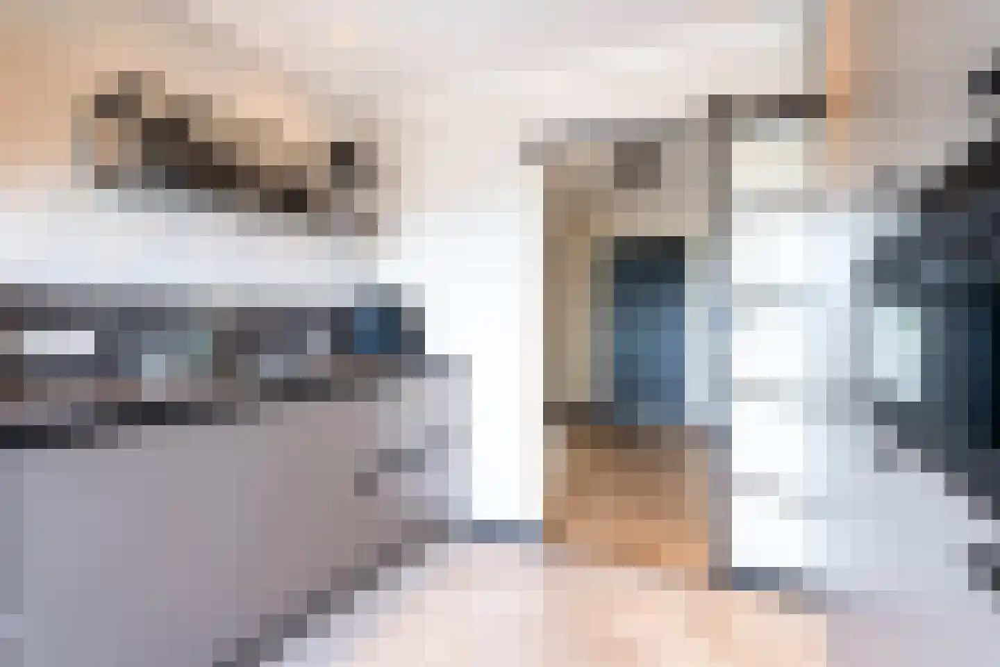 Grote Spie 365 Breda thumbnail 11