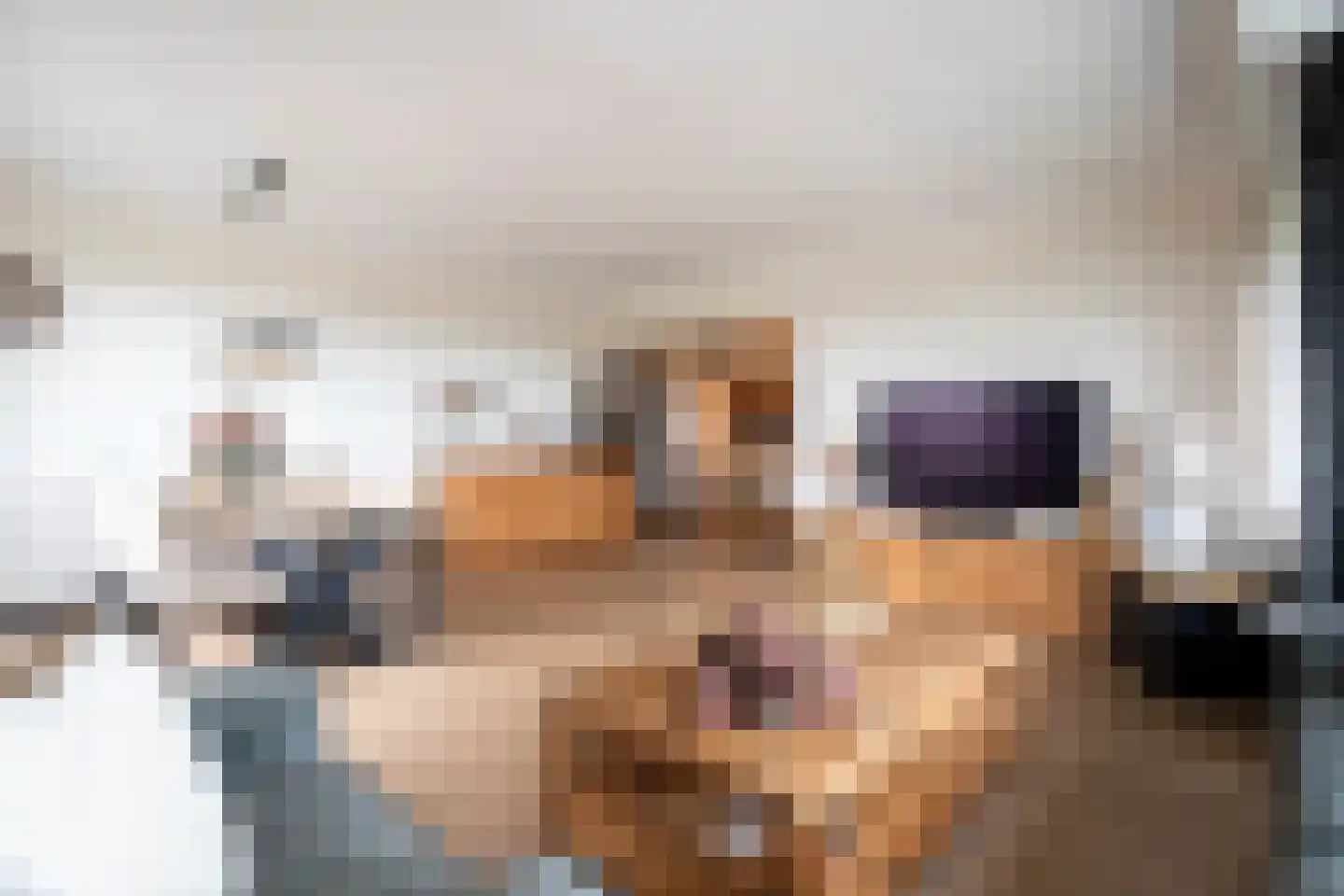Grote Spie 365 Breda thumbnail 4