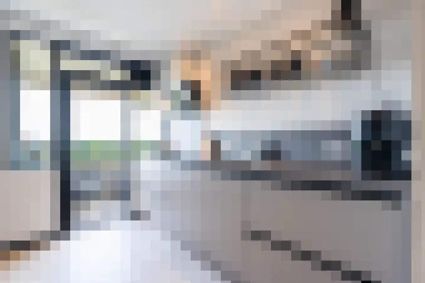Grote Spie 365 Breda thumbnail 9