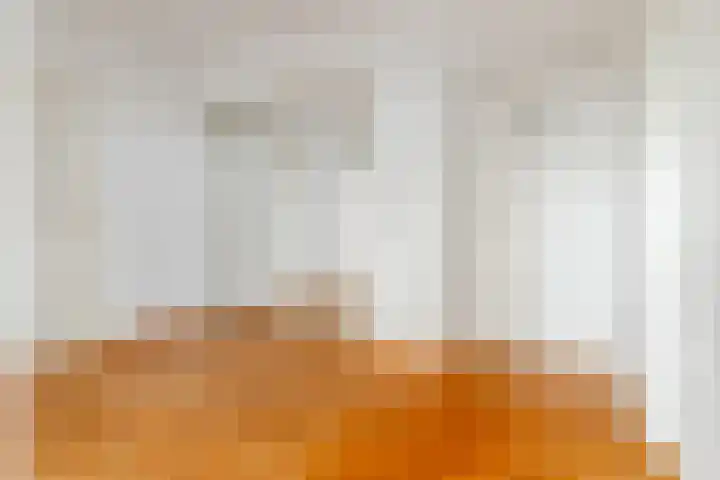 Grote Spie 369 Breda thumbnail 10