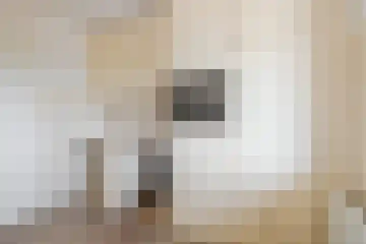 Grote Spie 369 Breda thumbnail 21