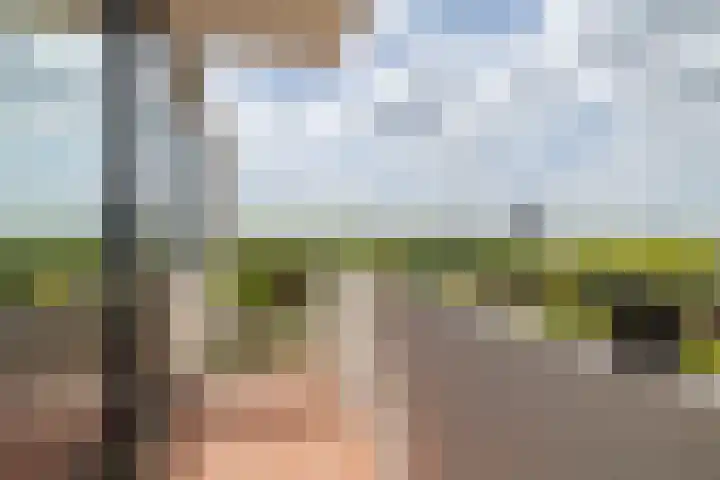 Grote Spie 369 Breda thumbnail 29