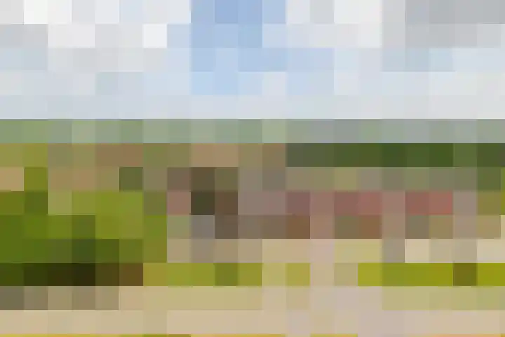 Grote Spie 369 Breda thumbnail 31
