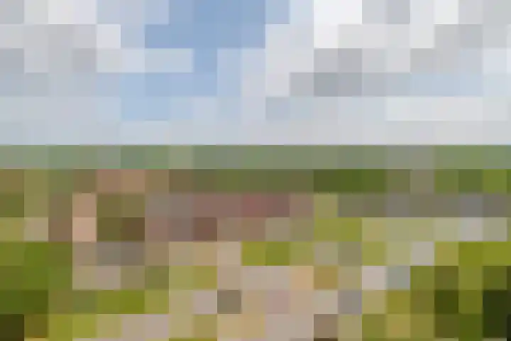 Grote Spie 369 Breda thumbnail 32