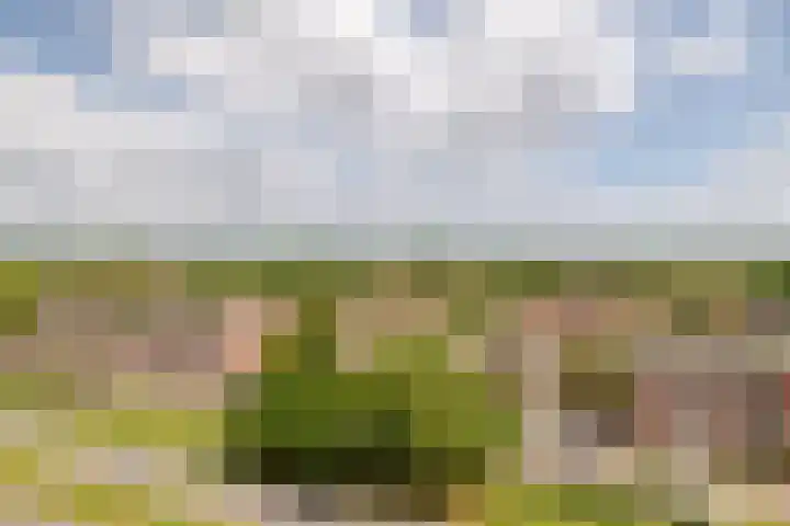 Grote Spie 369 Breda thumbnail 33