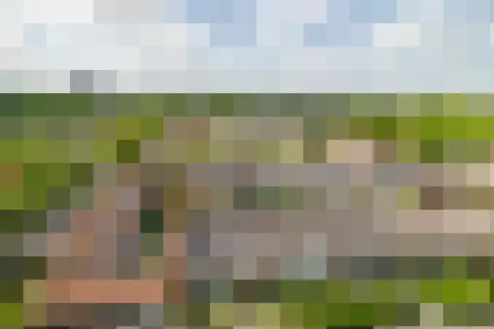 Grote Spie 369 Breda thumbnail 34