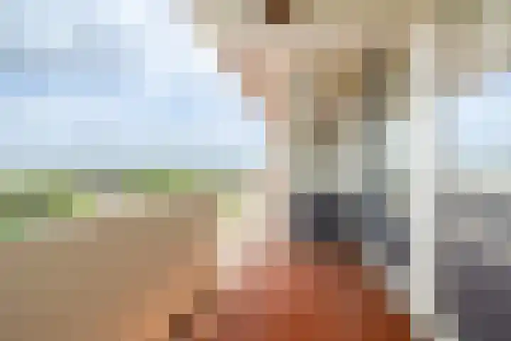 Grote Spie 369 Breda thumbnail 4