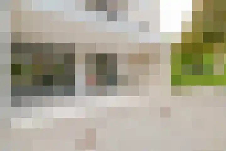 Grote Spie 369 Breda thumbnail 6