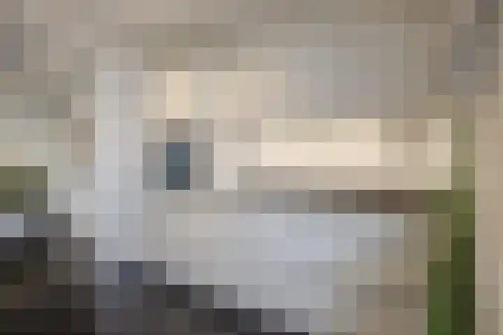 Grote Spie 69 Breda thumbnail 21
