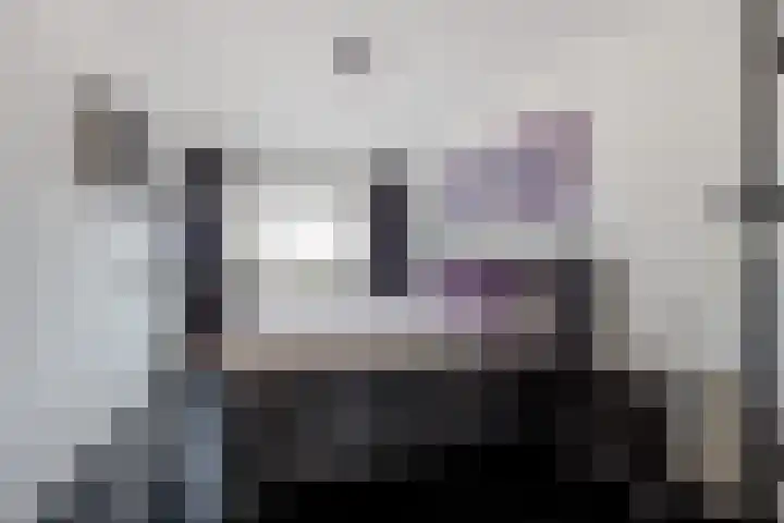 Grote Spie 69 Breda thumbnail 31