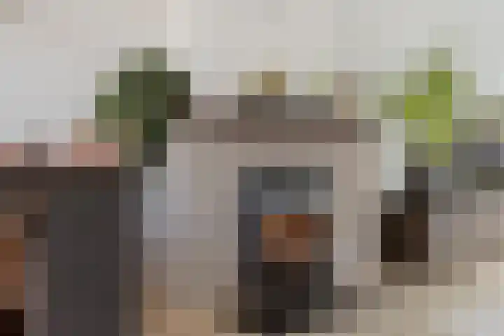 Grote Spie 70 Breda thumbnail 10