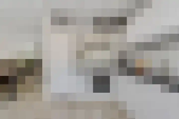 Grote Spie 70 Breda thumbnail 14