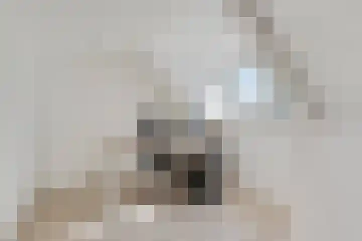 Grote Spie 70 Breda thumbnail 21