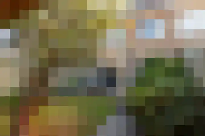 Grote Spie 70 Breda thumbnail 24