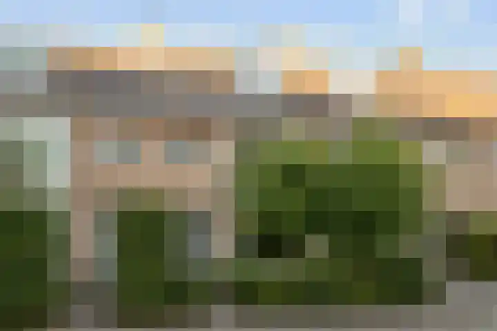 Grote Spie 70 Breda thumbnail 30