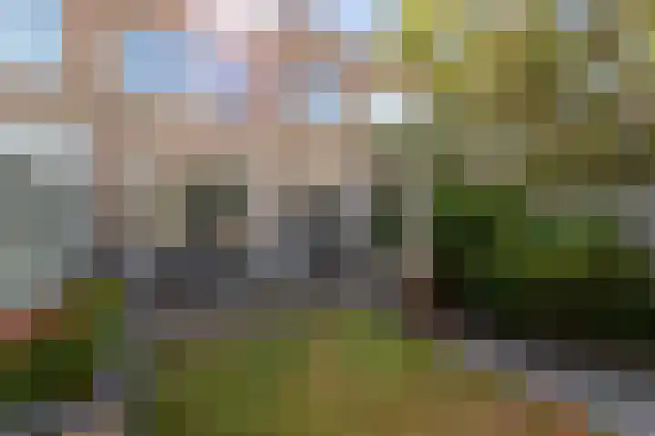 Grote Spie 70 Breda thumbnail 5