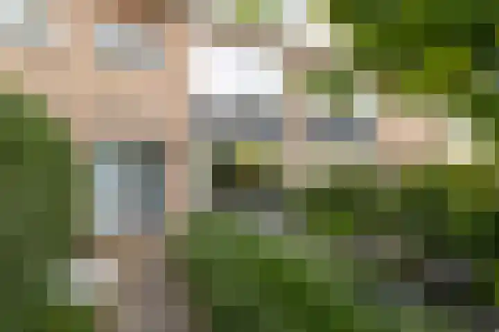 Grote Spie 70 Breda thumbnail 6