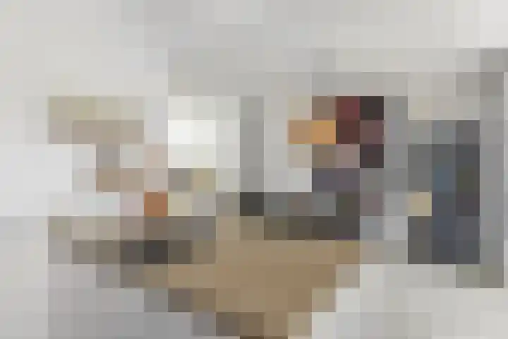 Grote Spie 72 Breda thumbnail 22