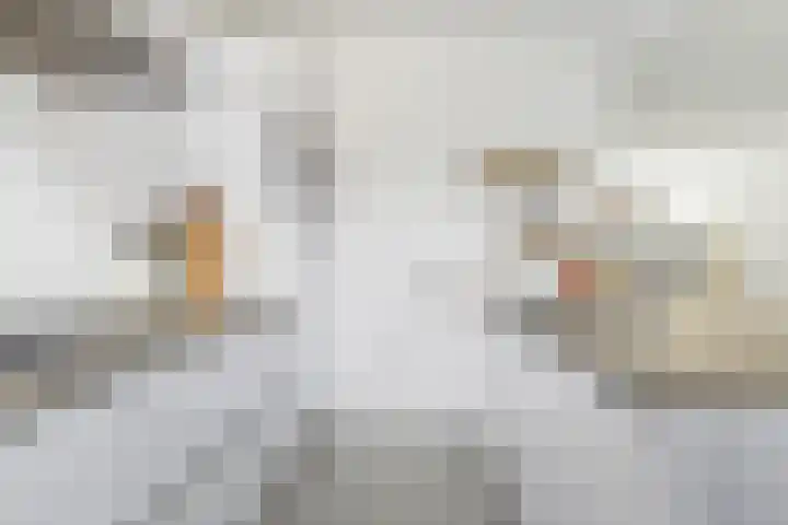 Grote Spie 72 Breda thumbnail 26