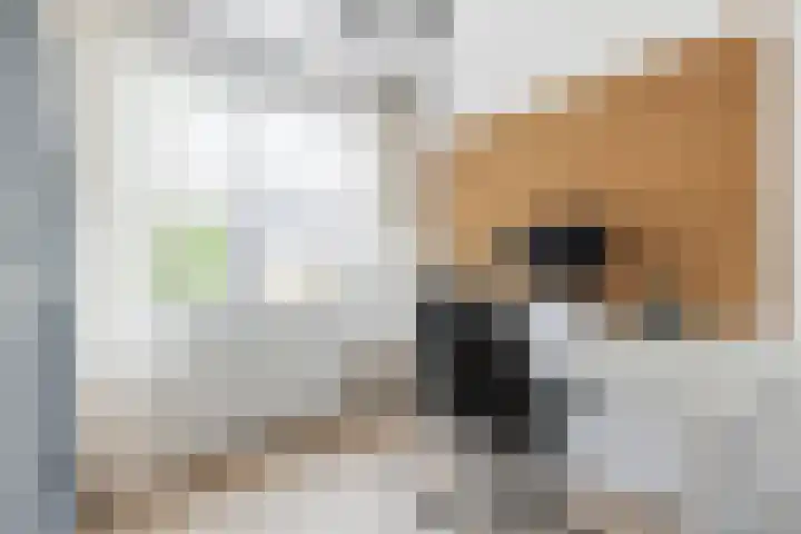 Grote Spie 72 Breda thumbnail 32