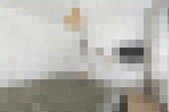 Grote Spie 72 Breda thumbnail 38