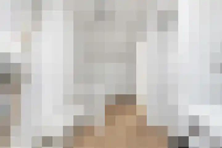 Grote Spie 72 Breda thumbnail 43