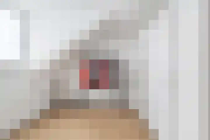 Grote Spie 72 Breda thumbnail 45