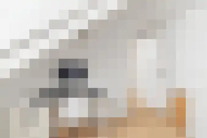 Grote Spie 72 Breda thumbnail 48