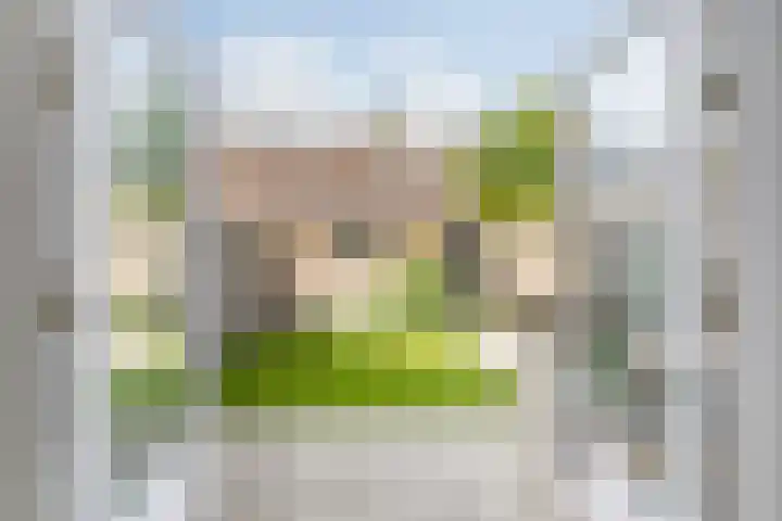 Grote Spie 72 Breda thumbnail 49