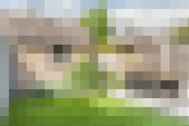 Grote Spie 72 Breda thumbnail 52