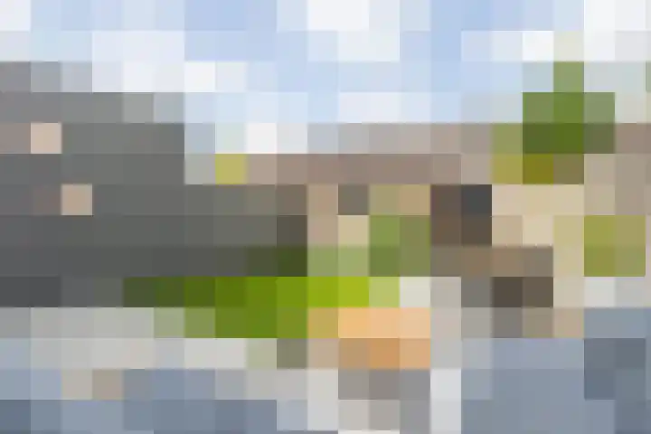 Grote Spie 72 Breda thumbnail 53