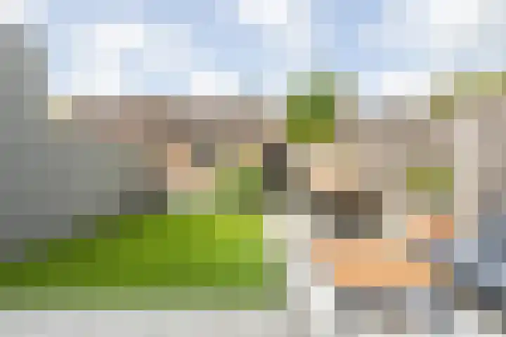 Grote Spie 72 Breda thumbnail 55