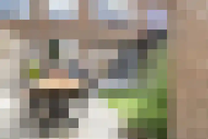 Grote Spie 72 Breda thumbnail 58