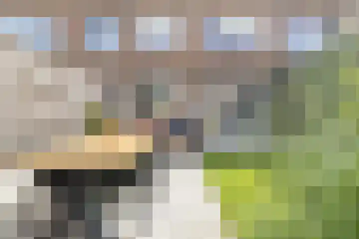 Grote Spie 72 Breda thumbnail 59