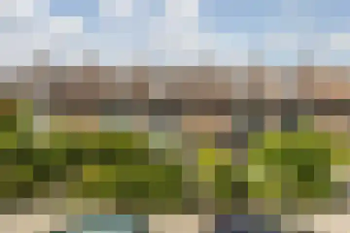 Grote Spie 72 Breda thumbnail 6