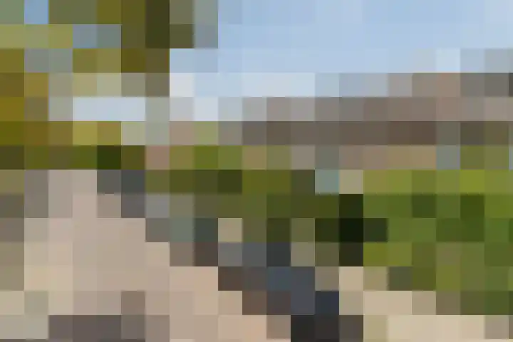 Grote Spie 72 Breda thumbnail 8