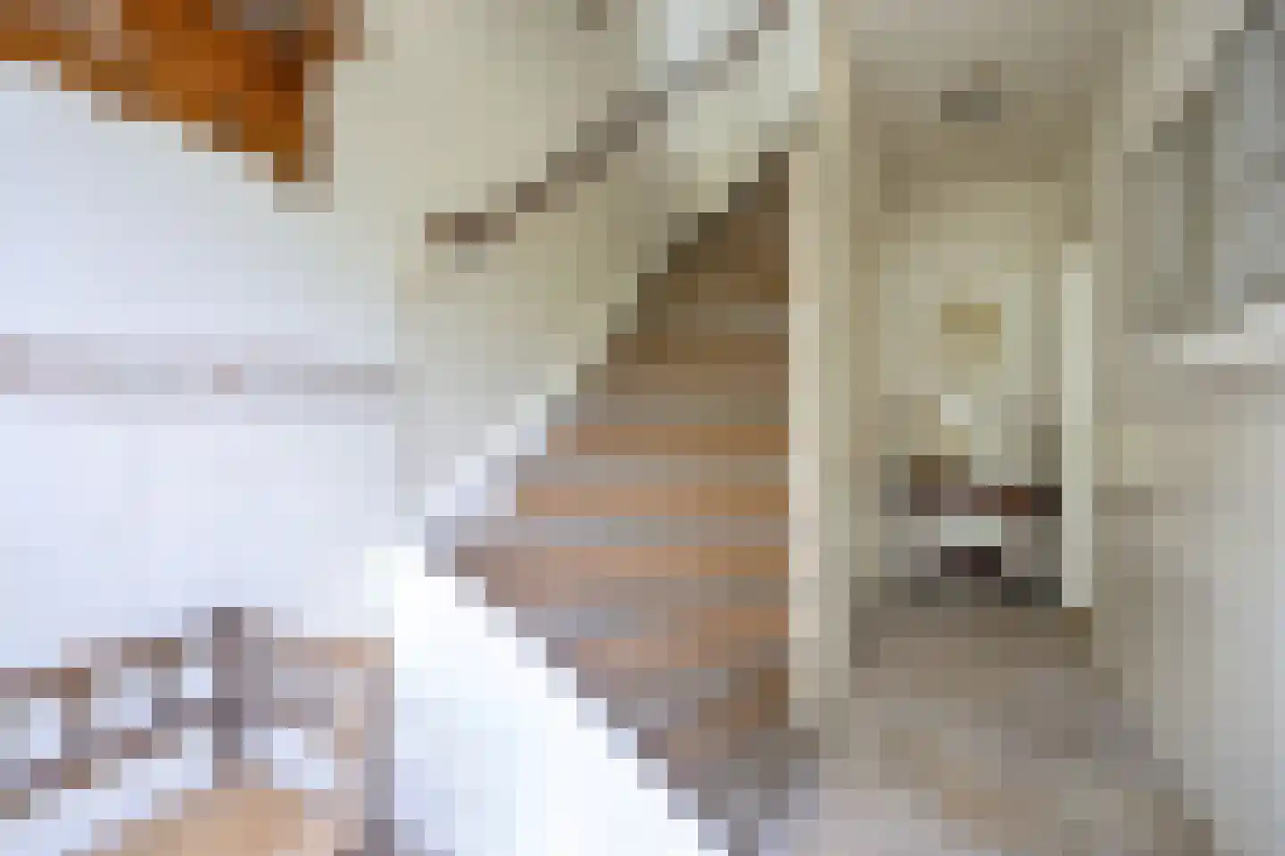 Grote Spie 74 Breda thumbnail 12