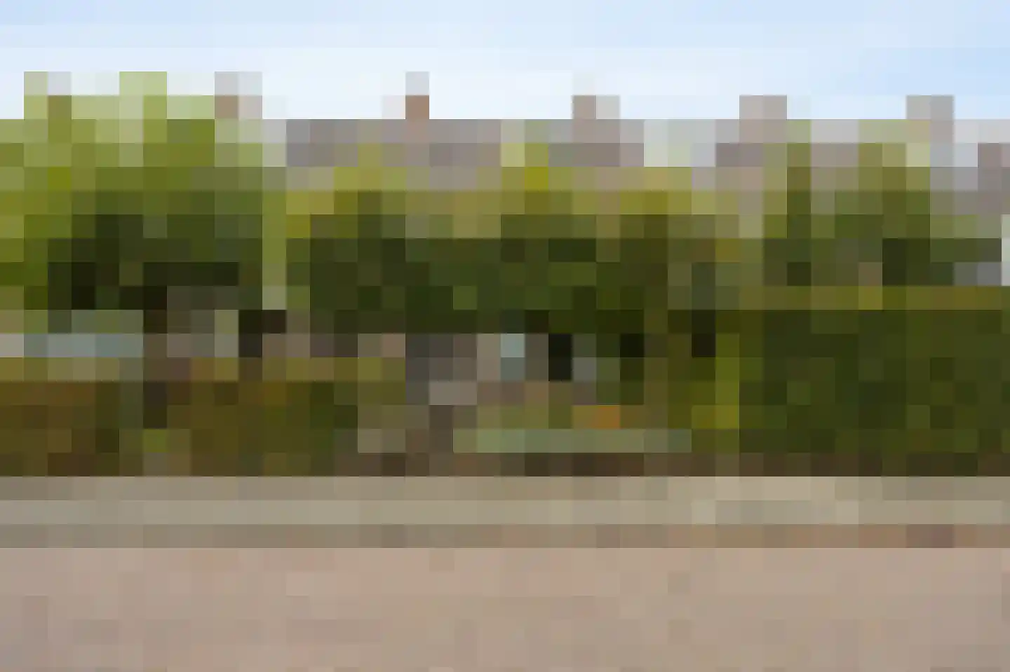 Grote Spie 74 Breda thumbnail 47