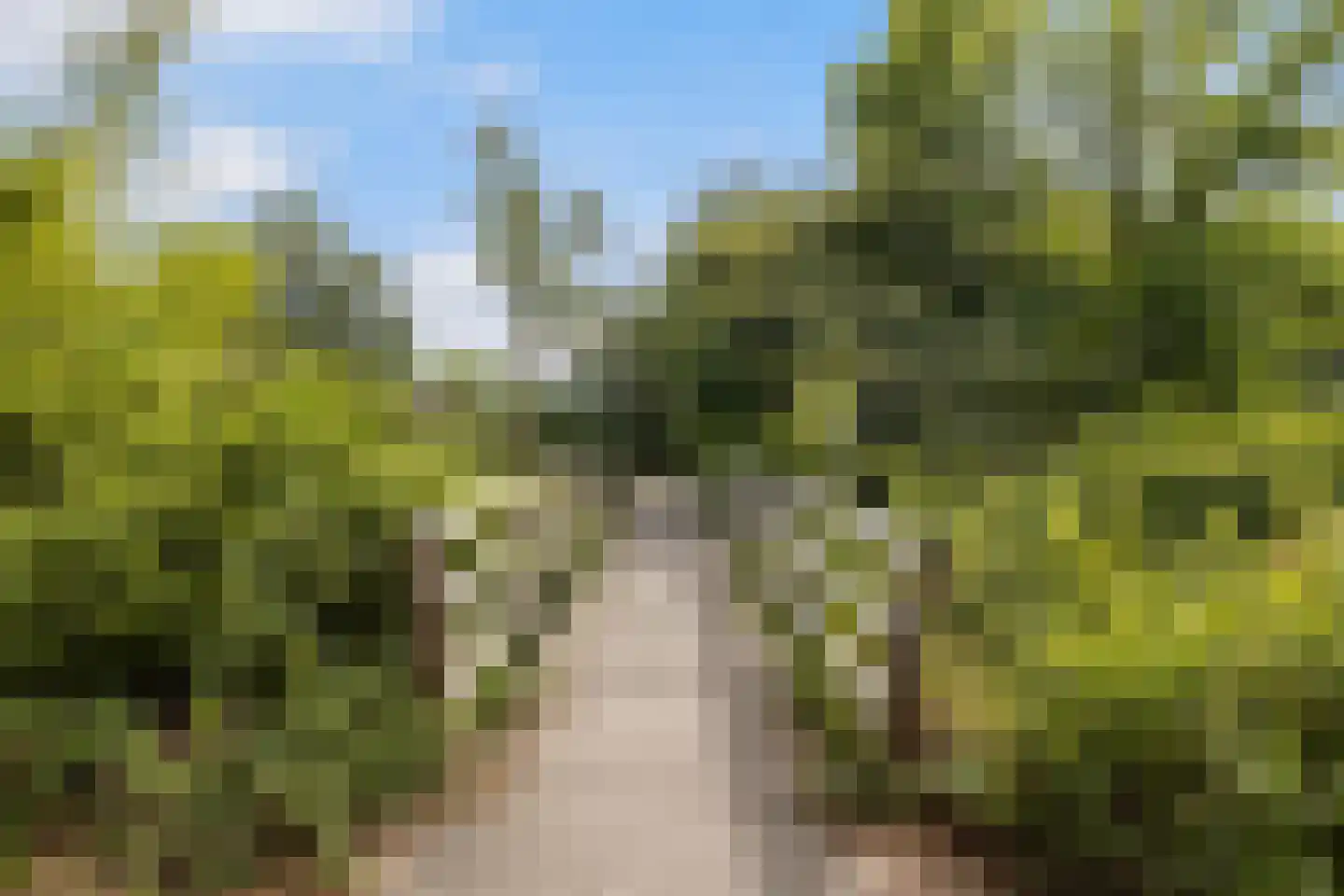 Grote Spie 76 Breda thumbnail 41